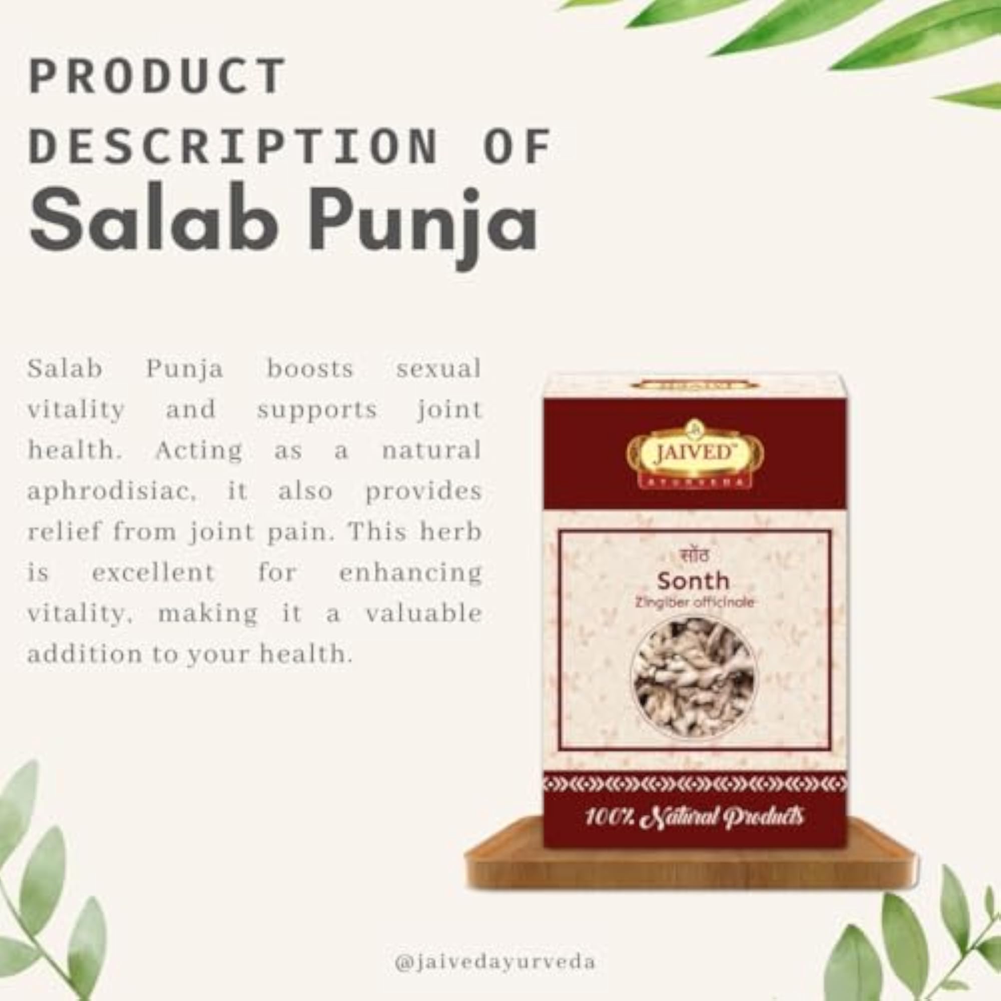 Salab Punja Jaived Ayurveda (Pack of 10 grams)